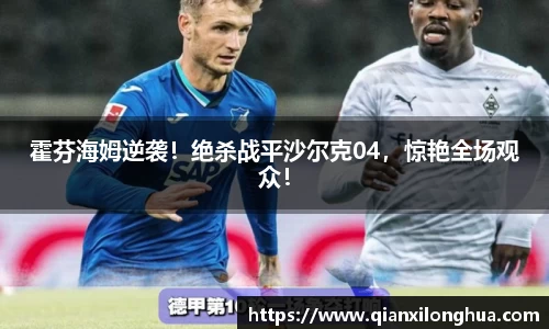 霍芬海姆逆袭！绝杀战平沙尔克04，惊艳全场观众！