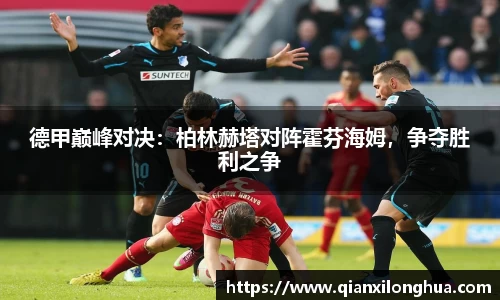 德甲巅峰对决：柏林赫塔对阵霍芬海姆，争夺胜利之争